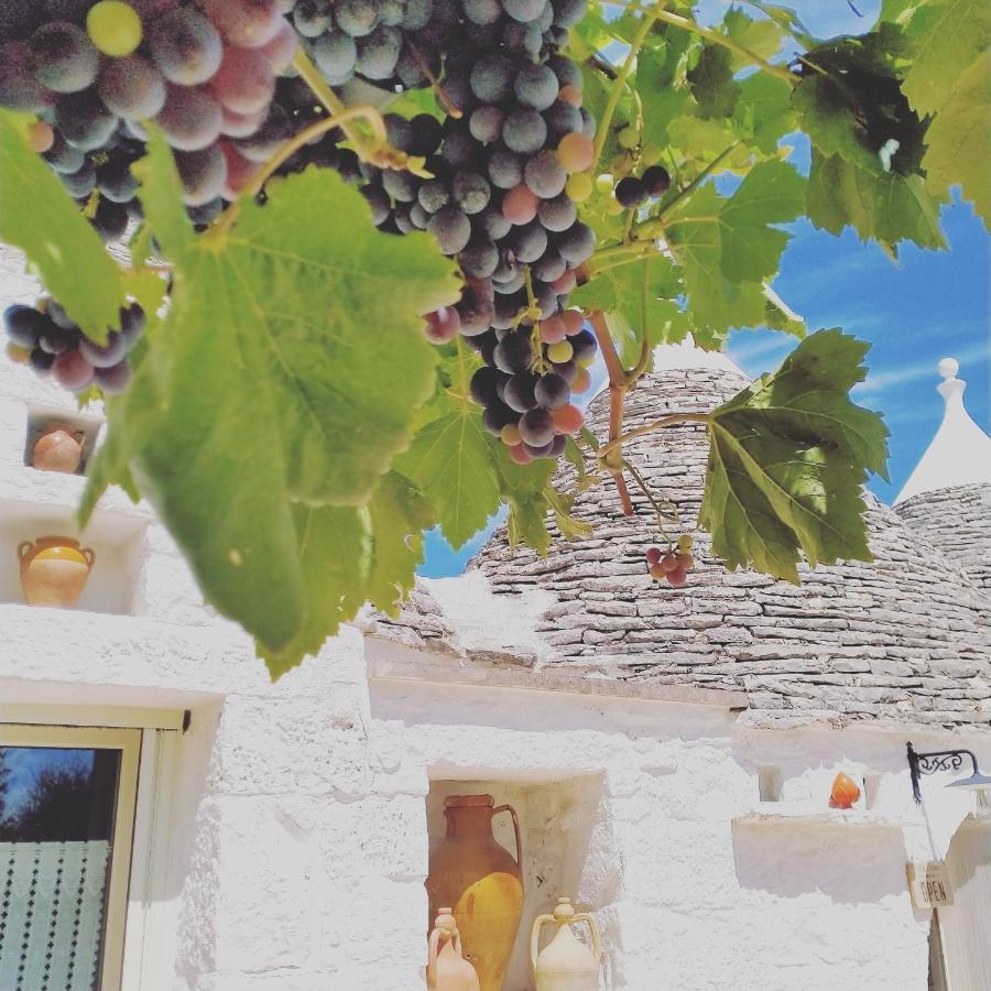 B&B Masseria Nuove Caselle Villa Castelli ภายนอก รูปภาพ