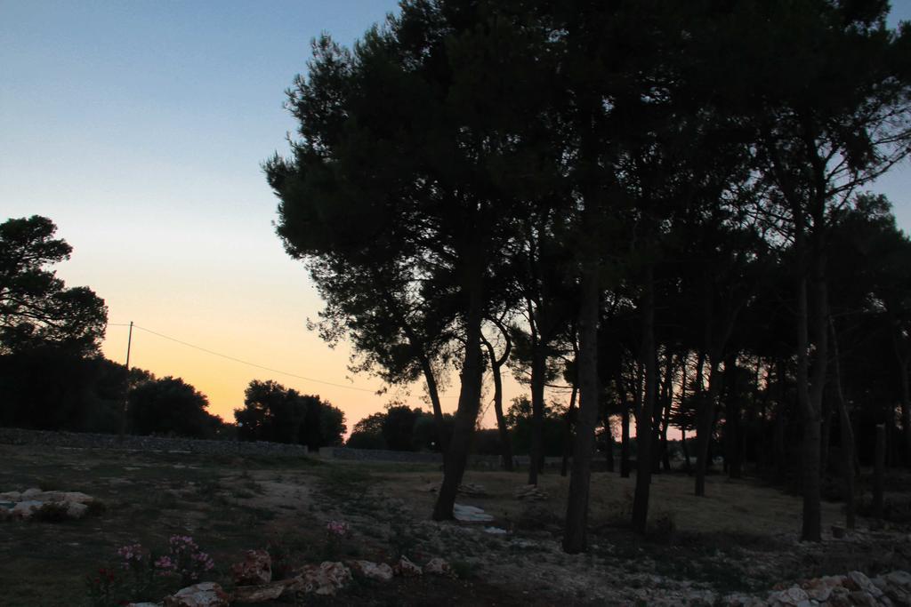B&B Masseria Nuove Caselle Villa Castelli ภายนอก รูปภาพ